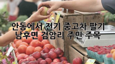 🚗 안동에서 전기 중고차 팔기? 남후면 검암리 주민 주목! ⚡️