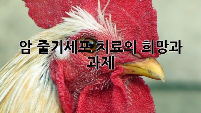 암 줄기세포: 치료의 희망과 과제